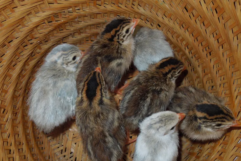 screenshot 20240315 074721