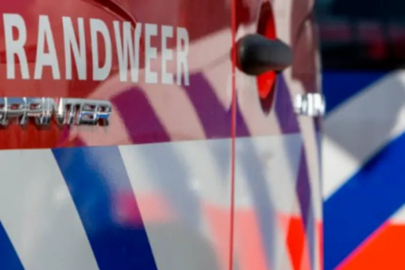 screenshot 20240319 081653