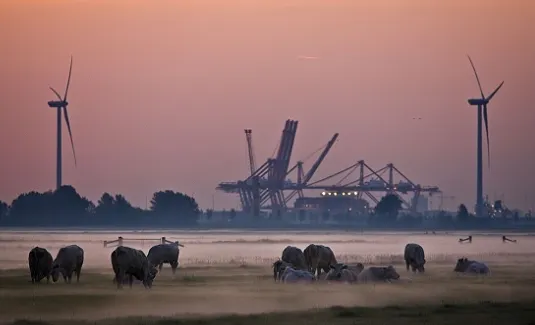 screenshot 20240403 104418