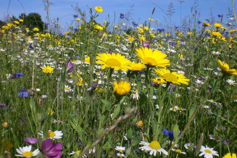 screenshot 20240408 140125