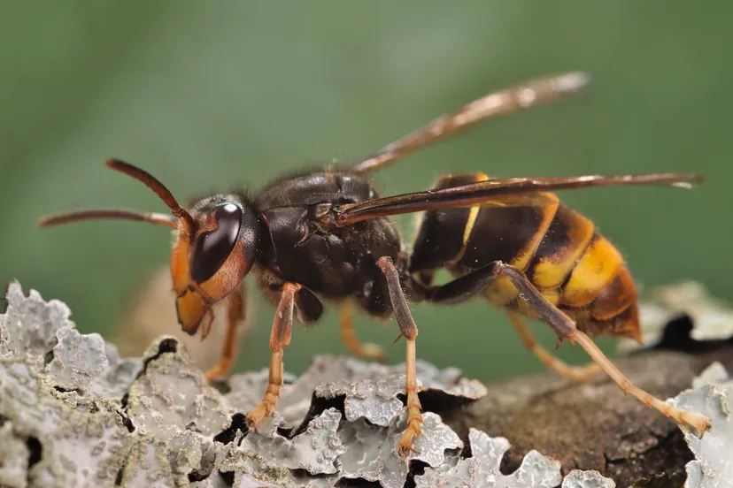 screenshot 20240417 131631