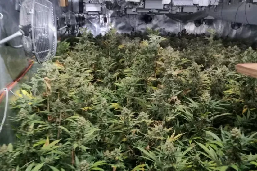 screenshot 20240507 120110