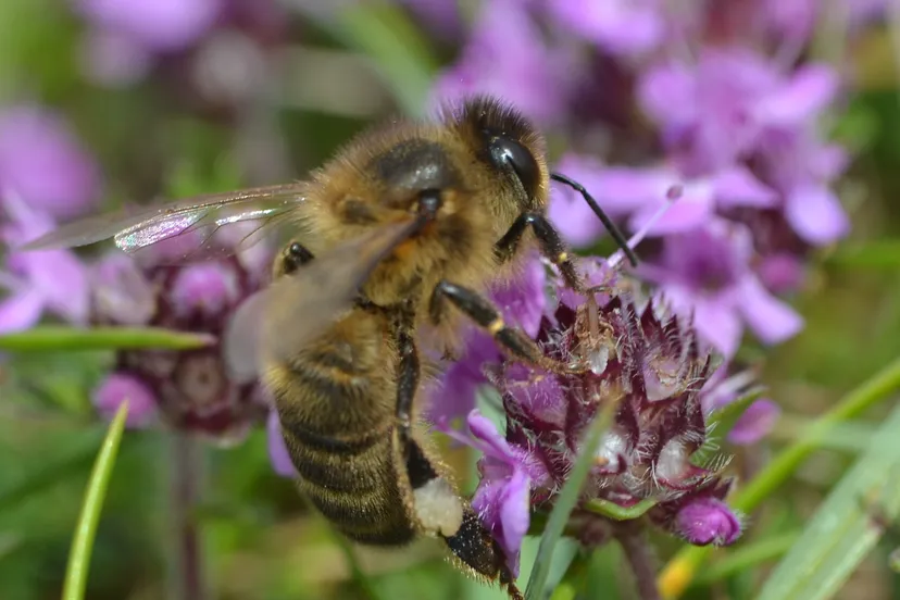 screenshot 20240522 090954