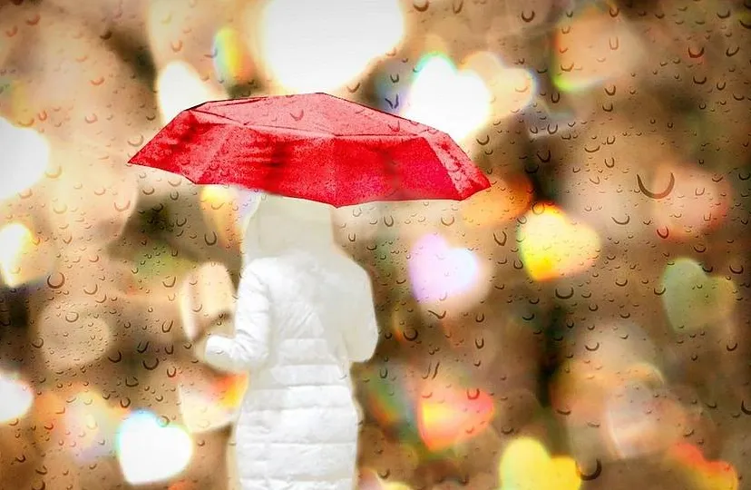 screenshot 20240526 065454