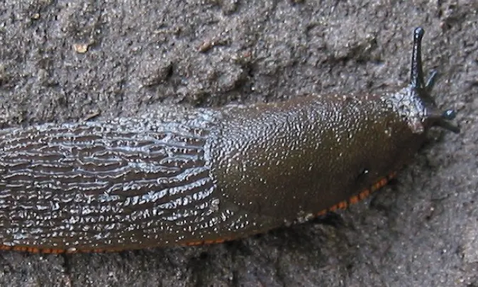 screenshot 20240527 134720