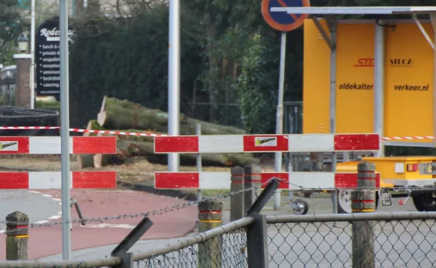 screenshot 20240531 103902