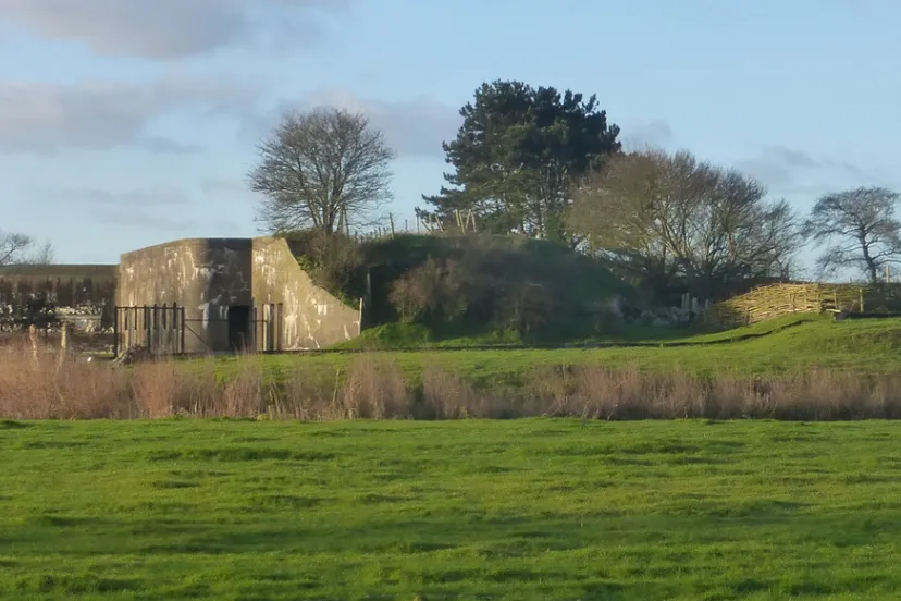 screenshot 20240531 123741