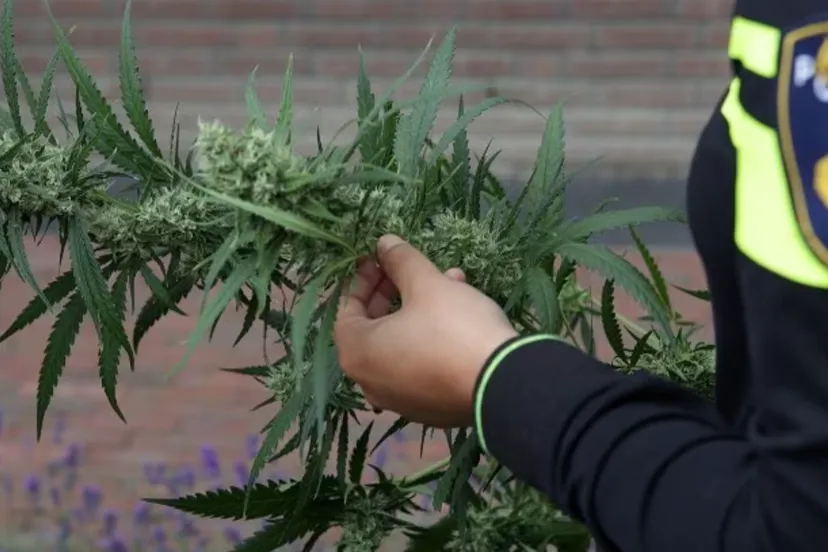 screenshot 20240605 092259