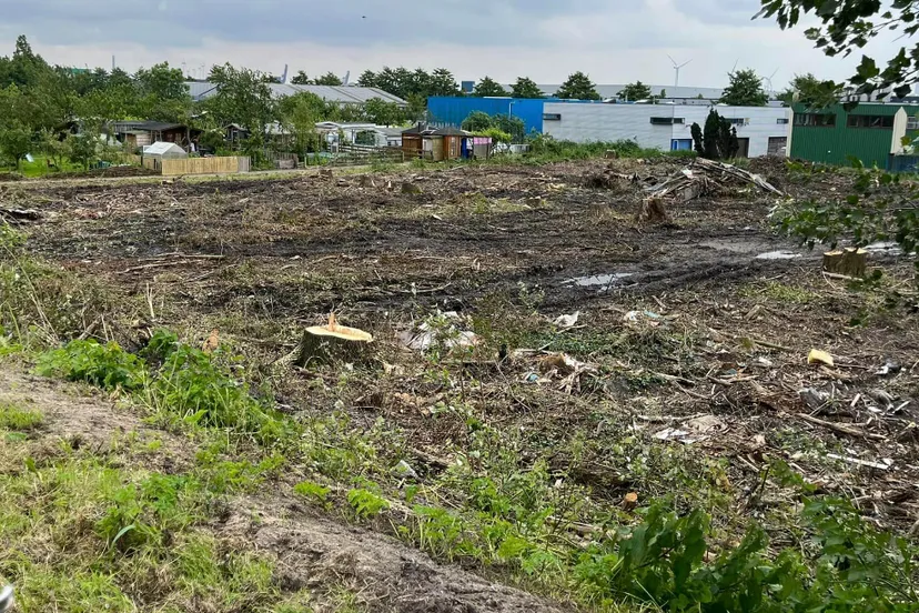 screenshot 20240605 112805