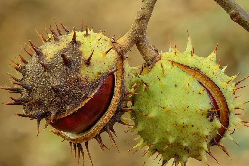 screenshot 20240606 105634