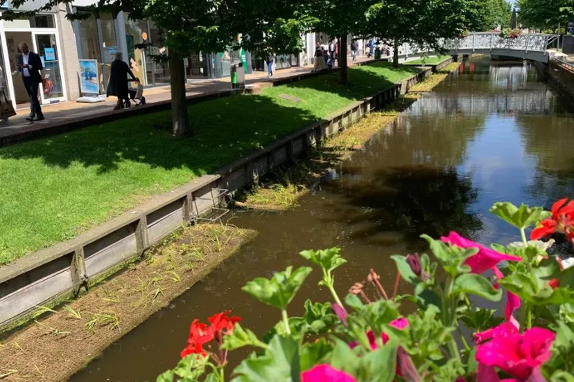 screenshot 20240608 150029