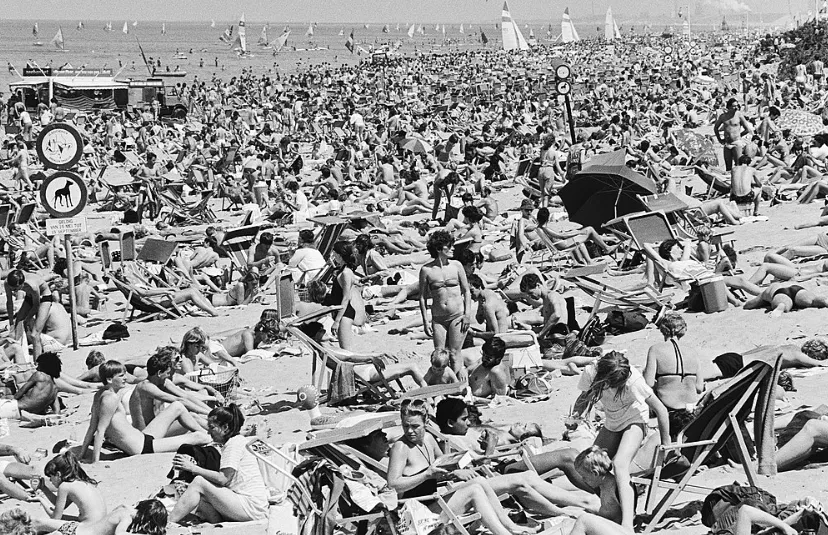 screenshot 20240614 114849