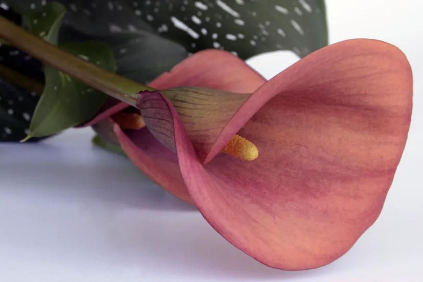 screenshot 20240614 141443