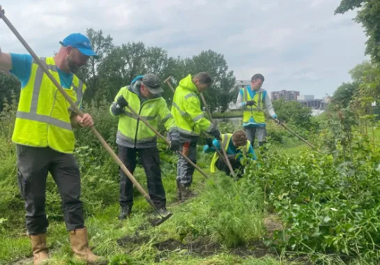 screenshot 20240615 103521