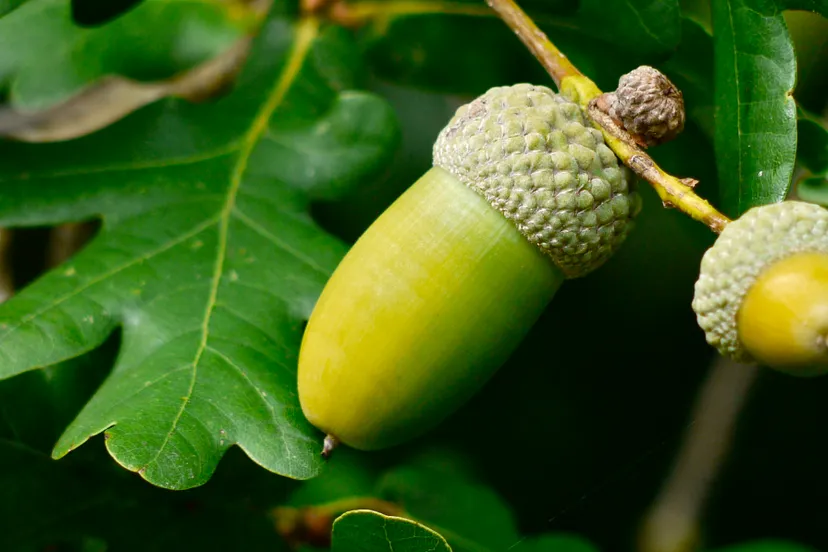 screenshot 20240618 114952