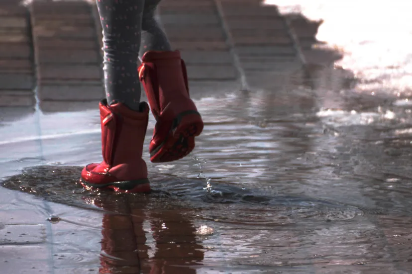 screenshot 20240626 105532