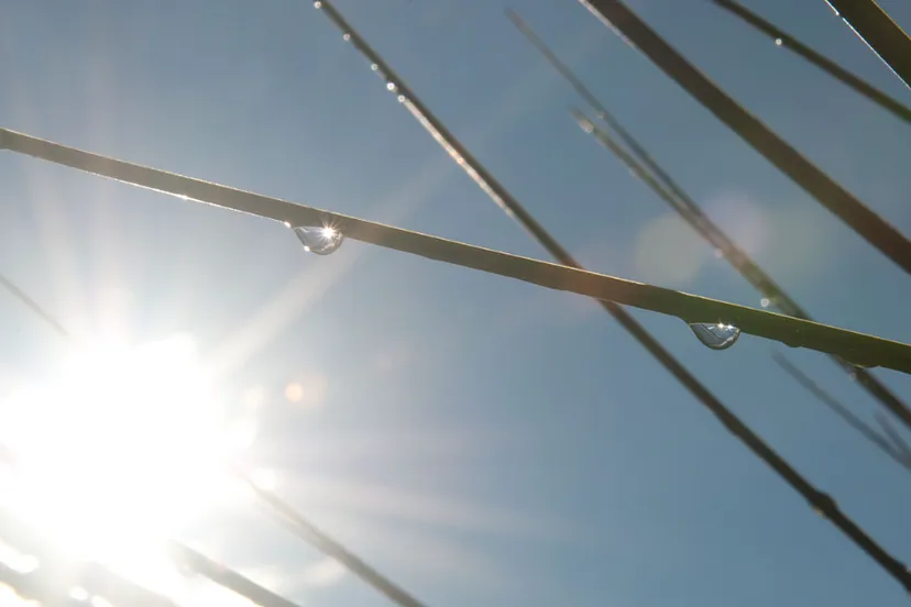 screenshot 20240629 112345