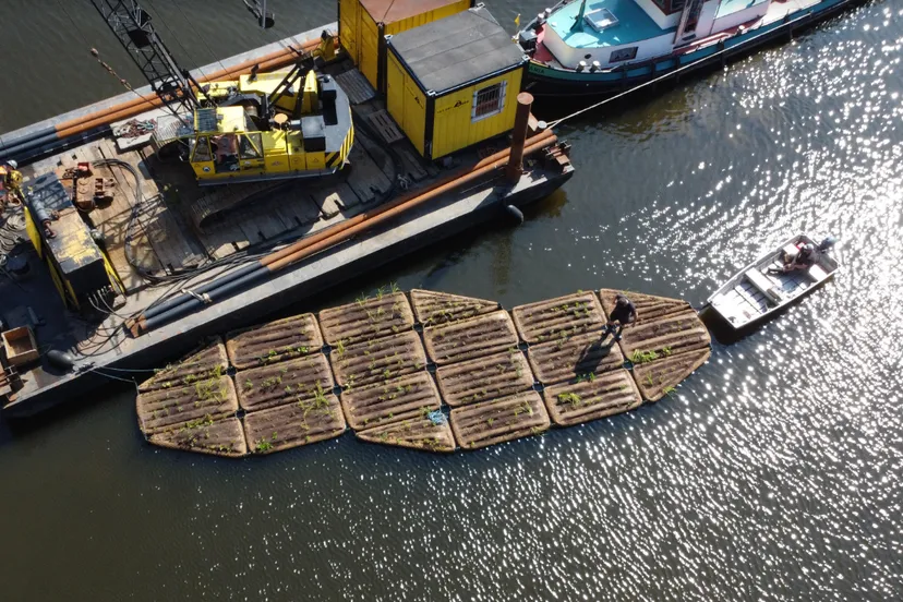 screenshot 20240701 081911