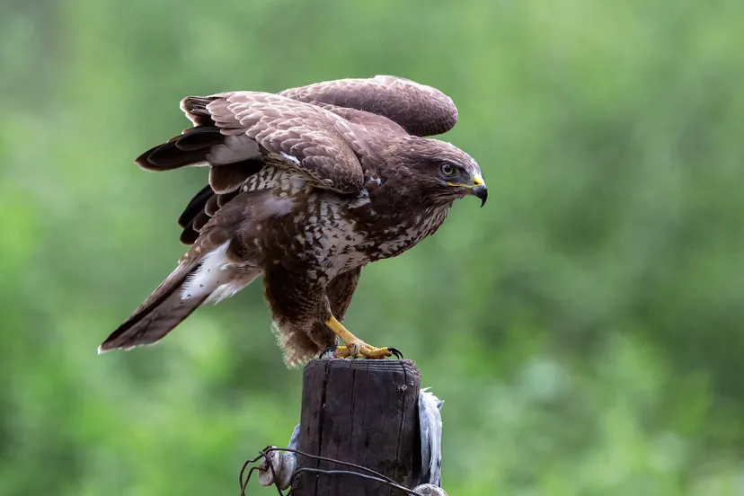 screenshot 20240702 134047