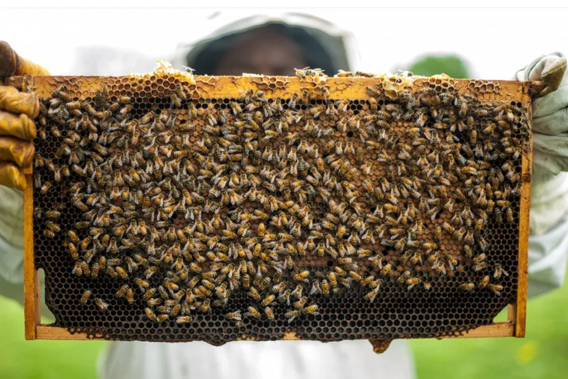 screenshot 20240704 134623