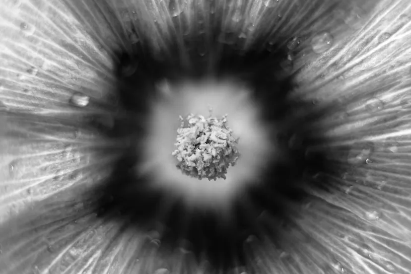 screenshot 20240704 152035