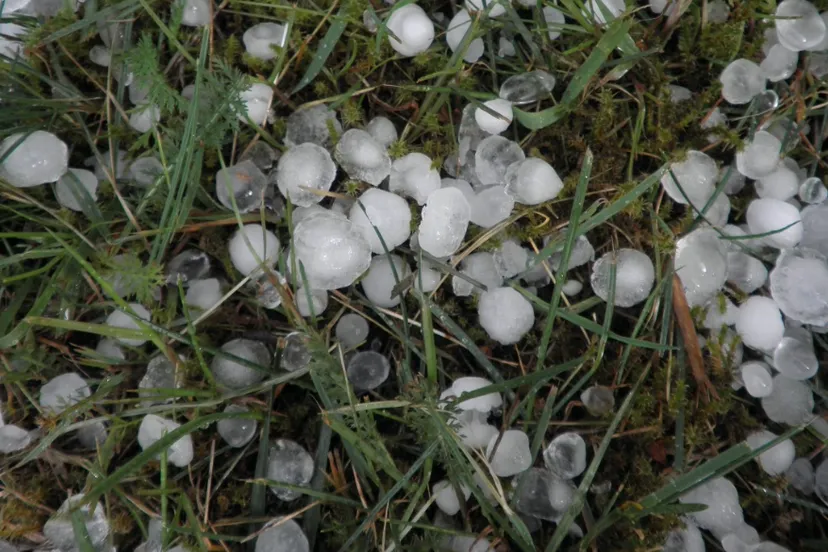 screenshot 20240708 131019