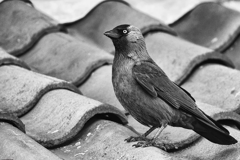 screenshot 20240708 140150