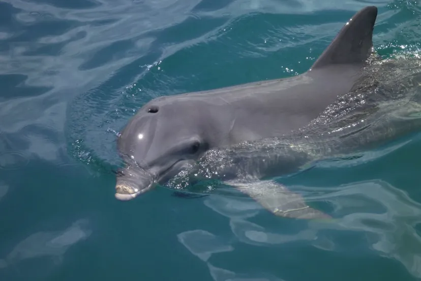 screenshot 20240709 132127