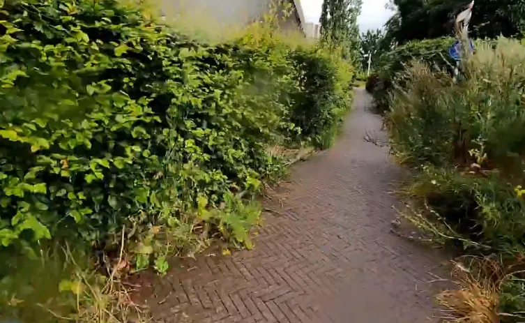 screenshot 20240713 125127