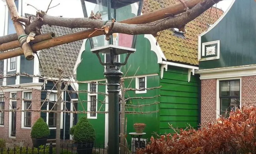 screenshot 20240715 190639