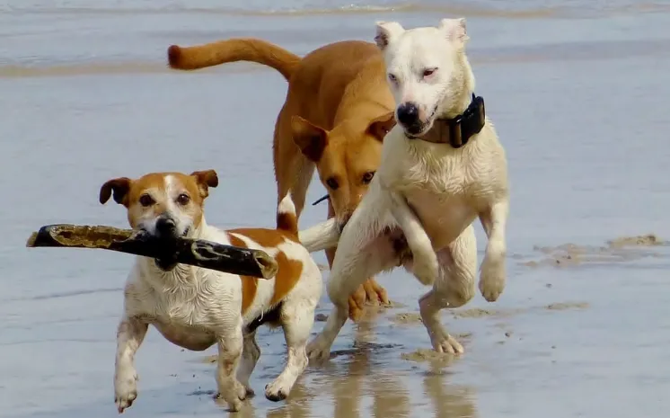 screenshot 20240721 094309