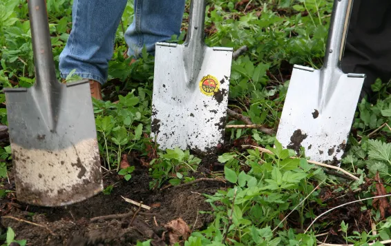 screenshot 20240721 141222