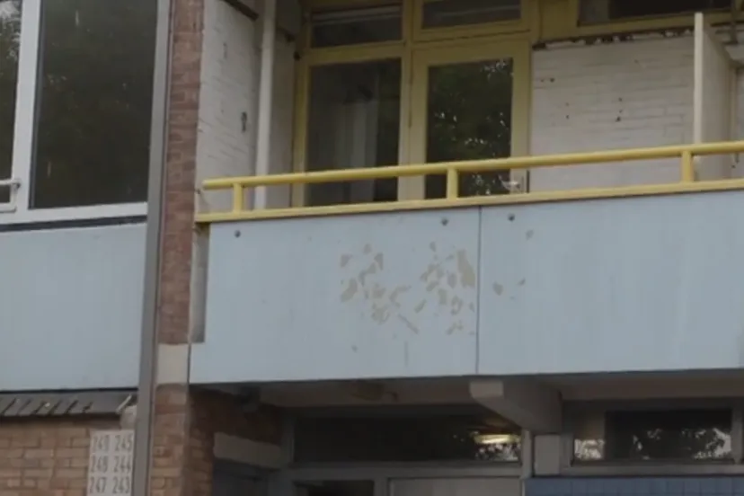 screenshot 20240728 123042