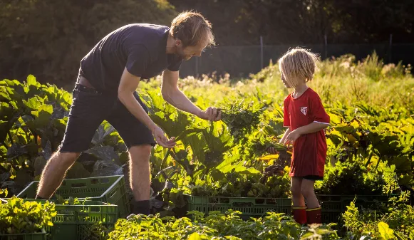 screenshot 20240731 120128