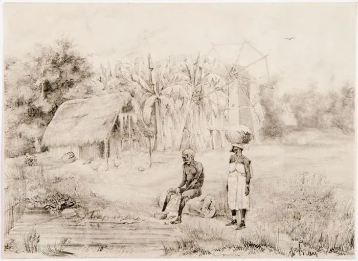 tropenmuseum royal tropical institute objectnumber 3626 6 slaven bij het voedseldepot van een pla