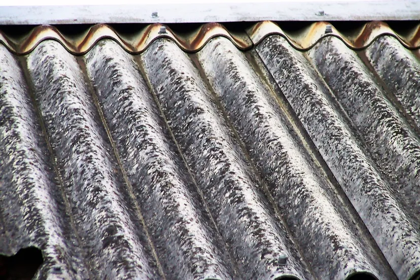 wellasbestdach 233 3354 img