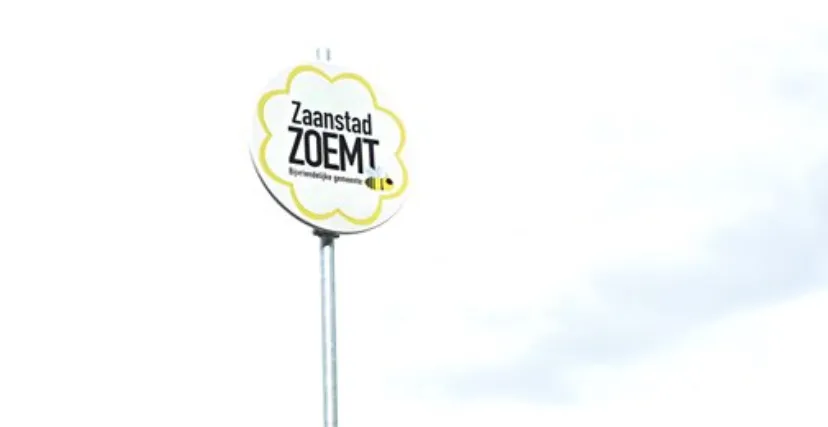 zoemt