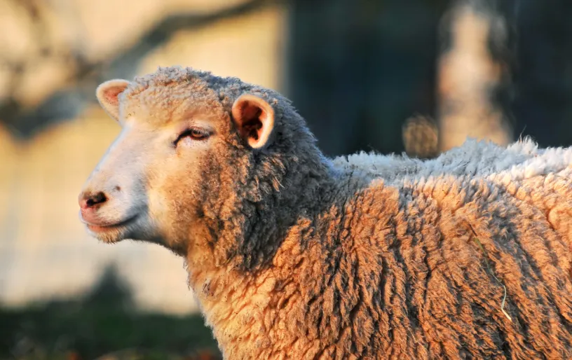 screenshot 20240806 150430