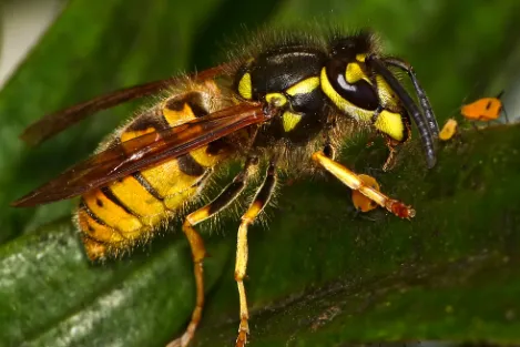 screenshot 20240809 181505