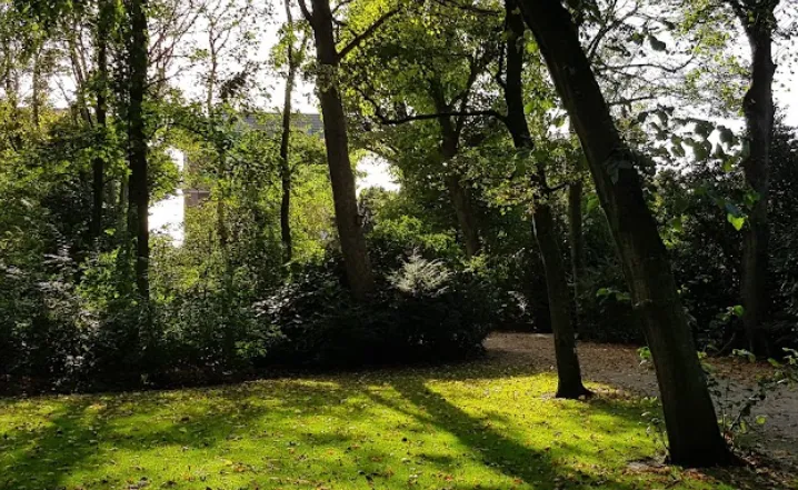 screenshot 20240810 130925