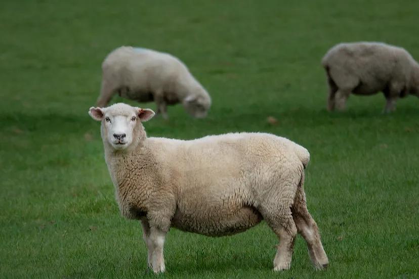 screenshot 20240815 141807