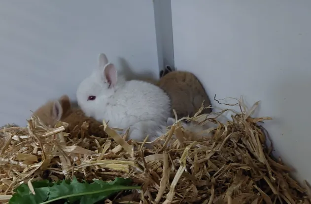 screenshot 20240819 130016