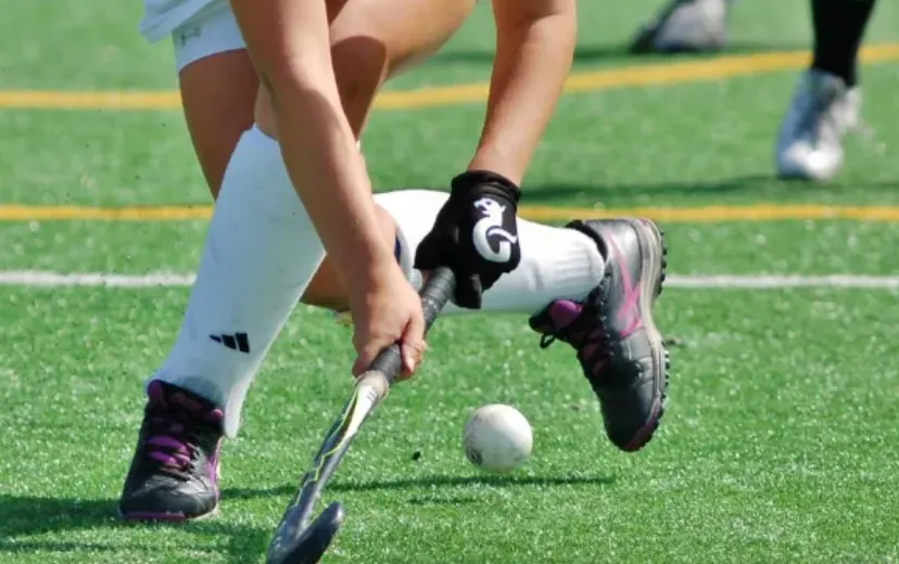 screenshot 20240821 112850