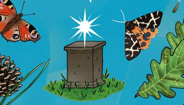 screenshot 20240824 111831