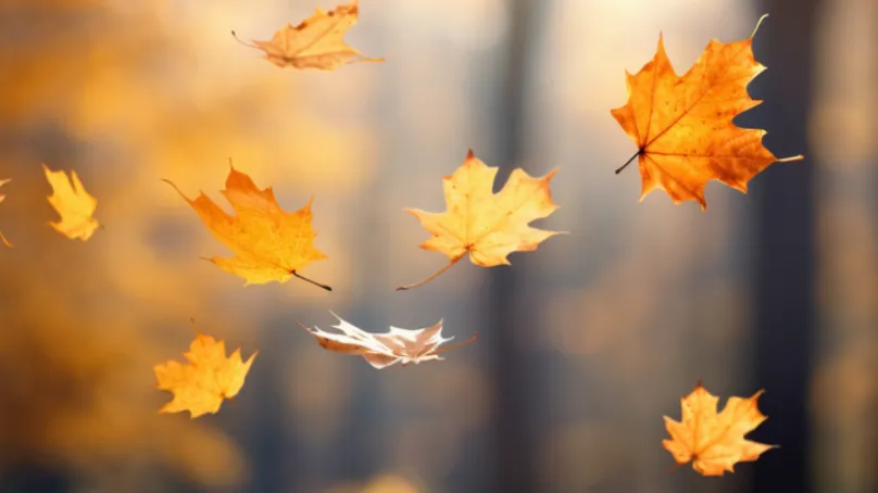 screenshot 20240825 101823