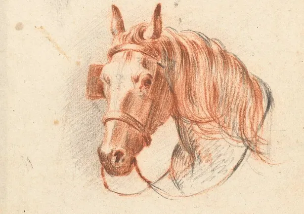 screenshot 20240828 114001