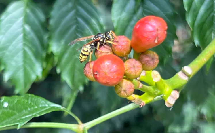 screenshot 20240830 093705