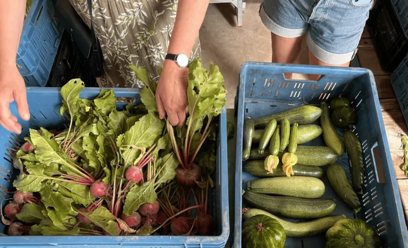 screenshot 20240830 130608