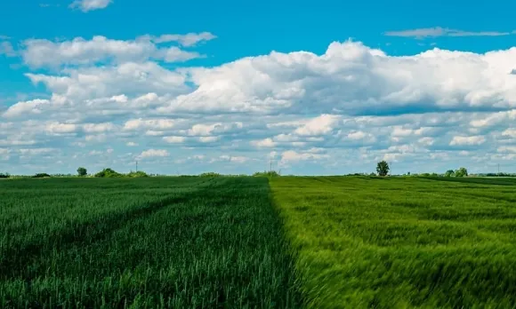 screenshot 20240901 094812