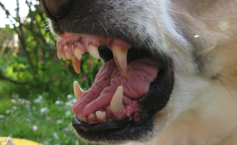 screenshot 20240911 161333